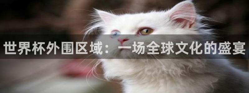 2026世界杯南美区积分榜：世界杯外围区域：一场全球文化的盛宴