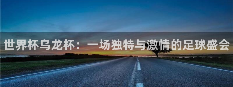 世界杯2026预选赛：世界杯乌龙杯：一场独特与激情的足球盛会
