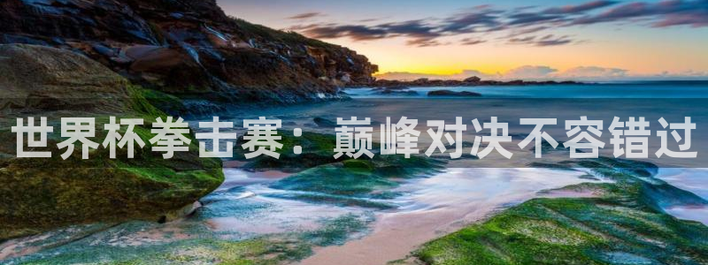 2026世界杯买球：世界杯拳击赛：巅峰对决不容错过