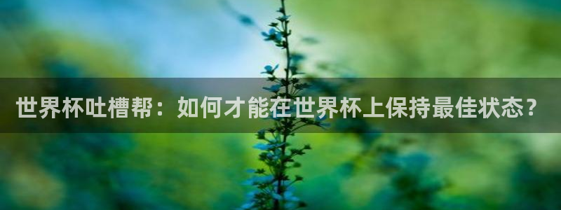 世界杯葡萄牙赛程：世界杯吐槽帮：如何才能在世界杯上保持最佳状态？