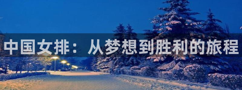 2026世界杯德国队阵容：中国女排：从梦想到胜利的旅程