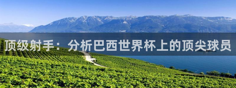 世界杯足球赛2026赛程时间：顶级射手：分析巴西世界杯上的顶尖球员
