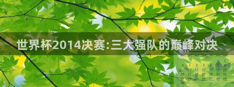 世界杯今年：世界杯2014决赛:三大强队的巅峰对决