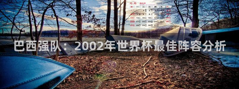 世界杯亚洲区预选赛：巴西强队：2002年世界杯最佳阵容分析