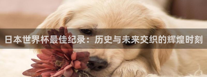 世界杯比赛时间：日本世界杯最佳纪录：历史与未来交织的辉煌时刻