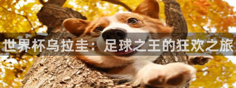 世界杯预选赛赛程时间表：世界杯乌拉圭：足球之王的狂欢之旅