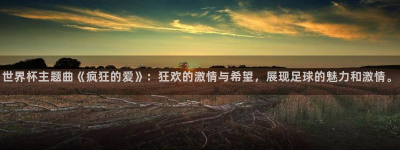 2026世界杯直播：世界杯主题曲《疯狂的爱》：狂欢的激情与希望，展现足球的魅力和激情。