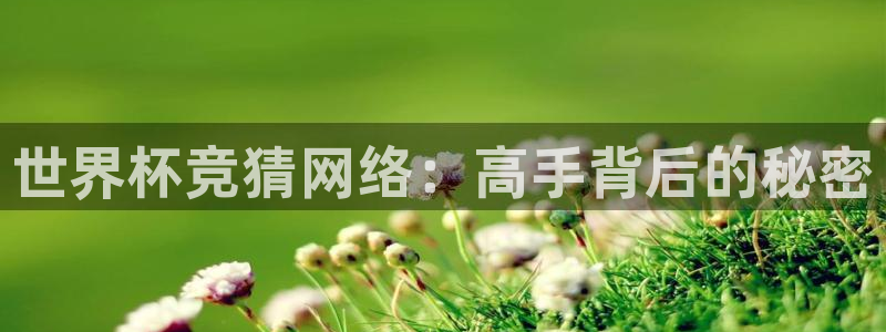 世界杯足球赛2026赛程时间：世界杯竞猜网络：高手背后的秘密