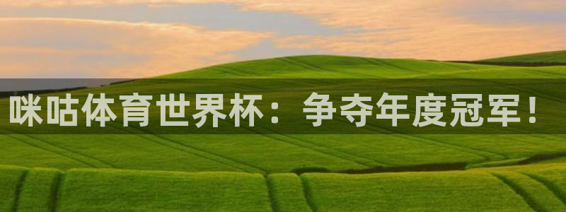 世界杯足球赛2026赛程时间：咪咕体育世界杯：争夺年度冠军！
