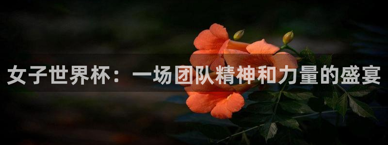 2026年足球世界杯赛程时间表：女子世界杯：一场团队精神和力量的盛宴