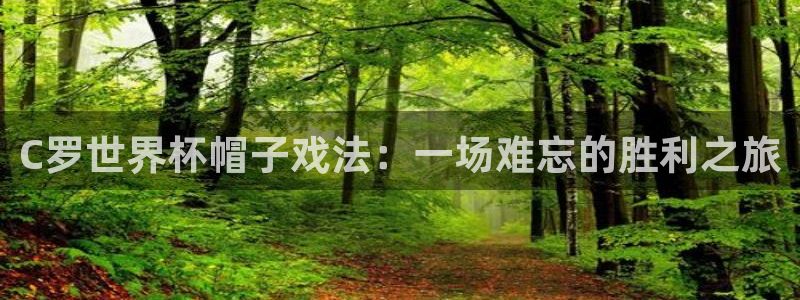 2026世界杯南美区积分榜：C罗世界杯帽子戏法：一场难忘的胜利之旅