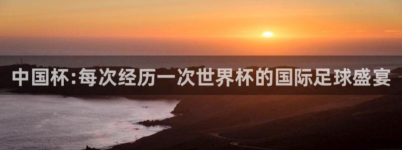 足球世界杯：中国杯:每次经历一次世界杯的国际足球盛宴
